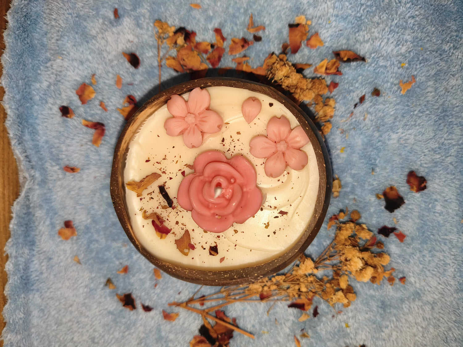 Coconut Shells - Reusable Shells from Nature